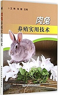 肉兔養殖實用技術 (平裝, 第1版)
