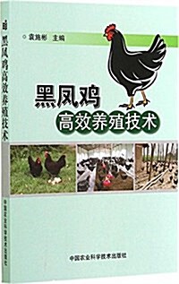 黑鳳鷄高效養殖技術 (平裝, 第1版)