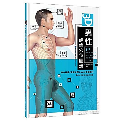 3D男性經絡穴位圖冊 (精裝, 第1版)