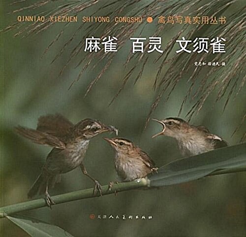 禽鸟寫眞實用叢书:麻雀、百靈、文须雀 (平裝, 第1版)