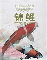 觀赏魚文化·鑒赏·饲養珍藏叢书:錦鯉 (平裝, 第1版)