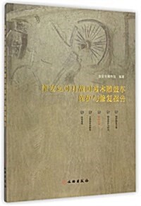 淮安運河村戰國墓木雕鼓车保護與修复報告 (平裝, 第1版)