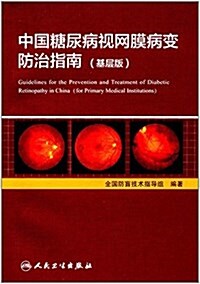 中國糖尿病视網膜病變防治指南(基層版) (平裝, 第1版)