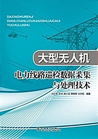 大型無人机電力线路巡檢數据采集與處理技術 (平裝, 第1版)