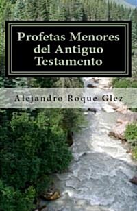 Profetas Menores del Antiguo Testamento / Minor Prophets of the Old Testament (Paperback)