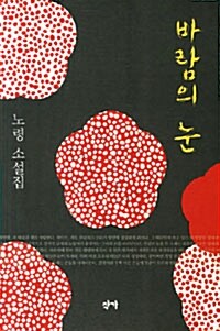 바람의 눈