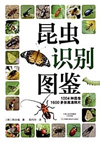 昆蟲识別圖鑒 (精裝, 第1版)