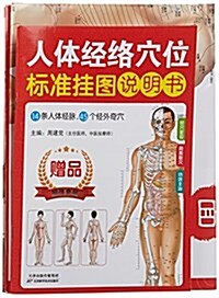 人體經絡穴位標準掛圖(男性) (平裝, 第1版)