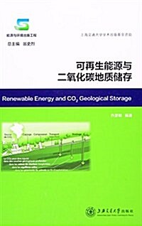 可再生能源與二氧化碳地质储存 (精裝, 第1版)