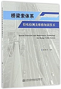 橋梁索體系特殊檢测及维修加固技術 (平裝, 第1版)