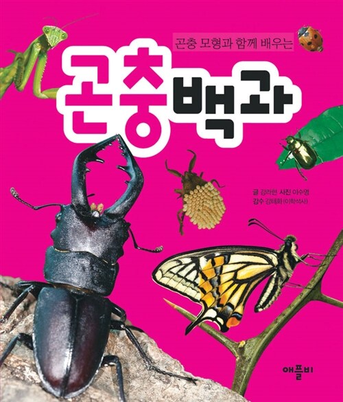 [중고] 곤충백과 (책 + 곤충모형 9개 + 전갈모형 1개 + 거미모형 2개)