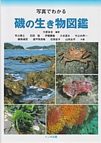 寫眞でわかる磯の生き物圖鑑 (單行本)