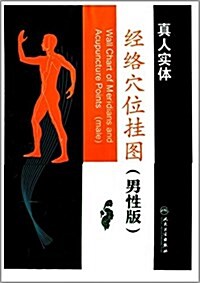 經絡穴位掛圖(男性版) (平裝, 第1版)