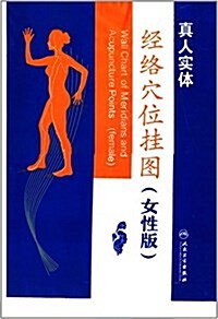 經絡穴位掛圖(女性版) (平裝, 第1版)