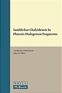 In Platonis Dialogos Commentariorum Fragmenta (Paperback)