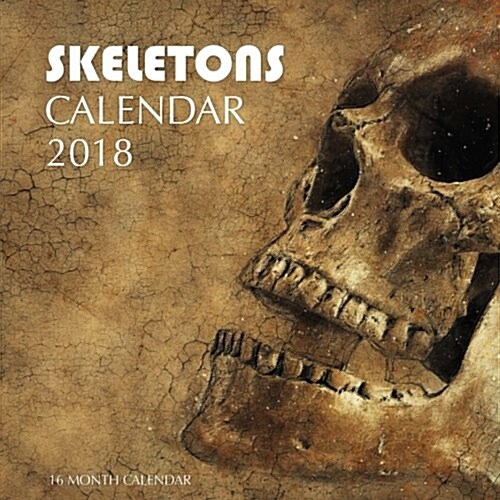 Skeletons Calendar 2018: 16 Month Calendar (Paperback)