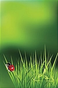 Ladybug Grass Notebook: Blank Journal Diary Log (Paperback)
