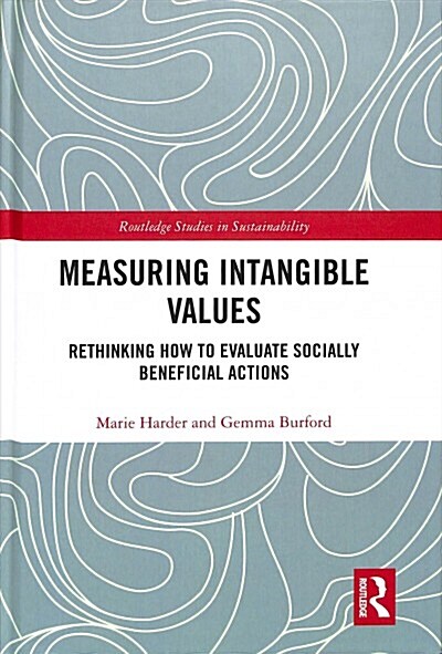 Measuring Intangible Values : Rethinking How to Evaluate Socially Beneficial Actions (Hardcover)