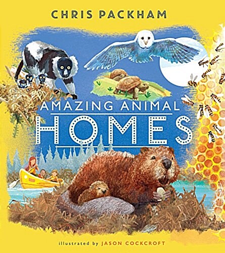 Amazing Animal Homes (Hardcover)