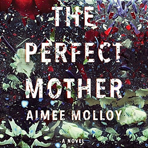 The Perfect Mother Lib/E (Audio CD)