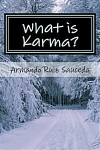 What Is Karma? (Paperback)