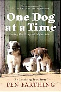 One Dog at a Time: Saving the Strays of Afghanistan (Paperback)