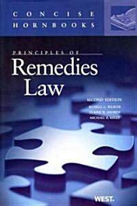 Principles of Remedies Law (Paperback, 2nd)