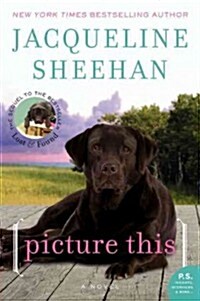 Picture This (Paperback)