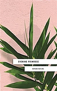 Evening Primrose: a heart-wrenching novel for our times (Paperback)