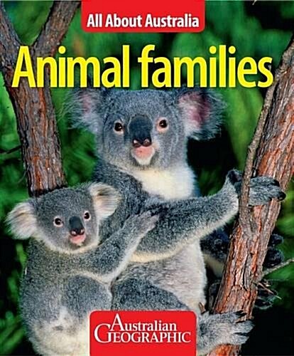 All About Australia: Animal Families (Paperback)