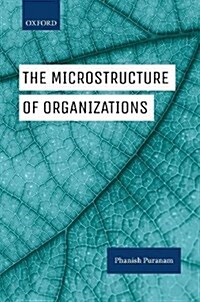The Microstructure of Organizations (Paperback)