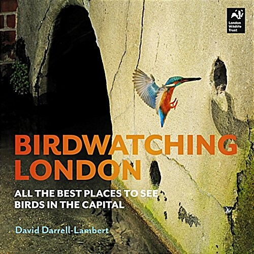 Birdwatching London : The Best Places to See Birds in the Capital (Paperback)