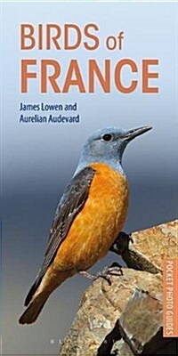 Birds of France (Paperback)
