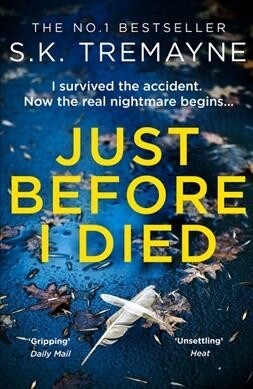 Just Before I Died (Paperback)