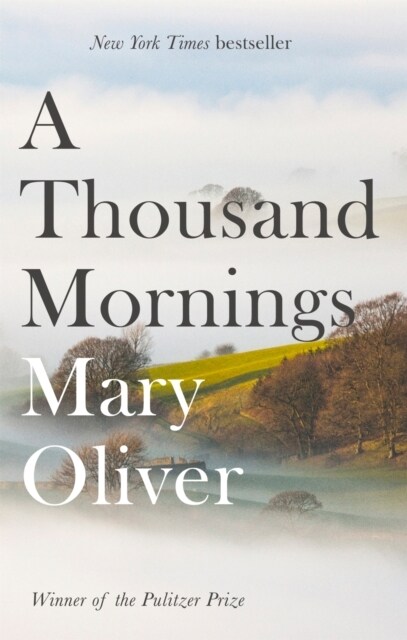 A Thousand Mornings (Paperback)
