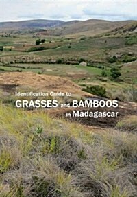 Identification Guide to Grasses and Bamboos in Madagascar (Paperback)