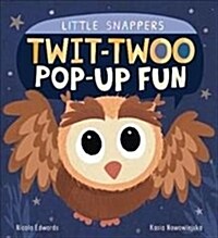 Twit-twoo Pop-up Fun (Novelty Book)