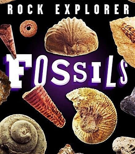 Rock Explorer: Fossils (Paperback)