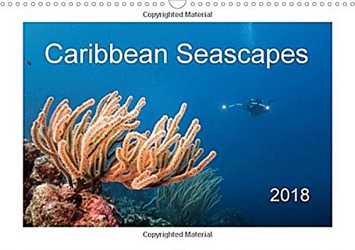 Caribbean Seascapes 2018 : Enjoy the magical underwater world of the Caribbean Sea! (Calendar)