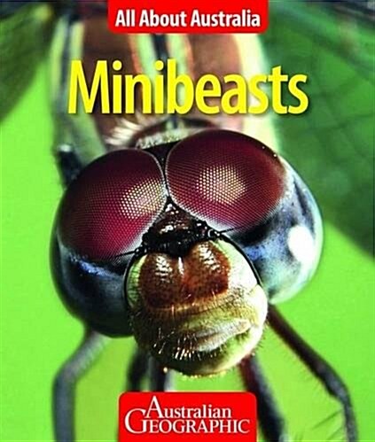 All About Australia: Minibeasts (Paperback)