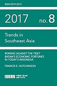 Rowing Against the Tide? Batams Economic Fortunes in Todays Indonesia (Paperback)