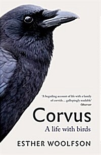 Corvus : A Life With Birds (Paperback)