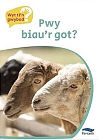 Cyfres Wyt Tin Gwybod?: Pwy Biaur Got? (Paperback)