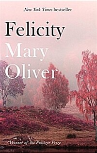 Felicity (Paperback)