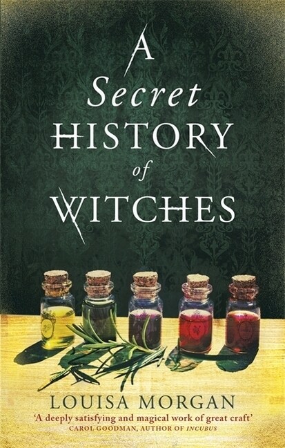 A Secret History of Witches : The spellbinding historical saga of love and magic (Paperback)