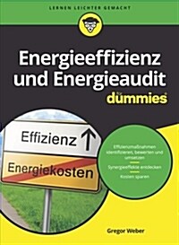 Energieeffizienz, Energieaudit und Nachhaltigkeit fur Dummies (Paperback)