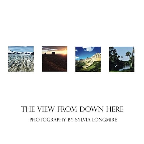 The View from Down Here: Photography by Sylvia Longmire (Paperback)