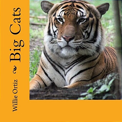 Big Cats (Paperback)