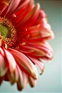 Gerbera Daisy Up Close: 150 Page Lined Notebook/Diary (Paperback)