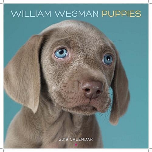 William Wegman Puppies 2019 Wall Calendar (Other)